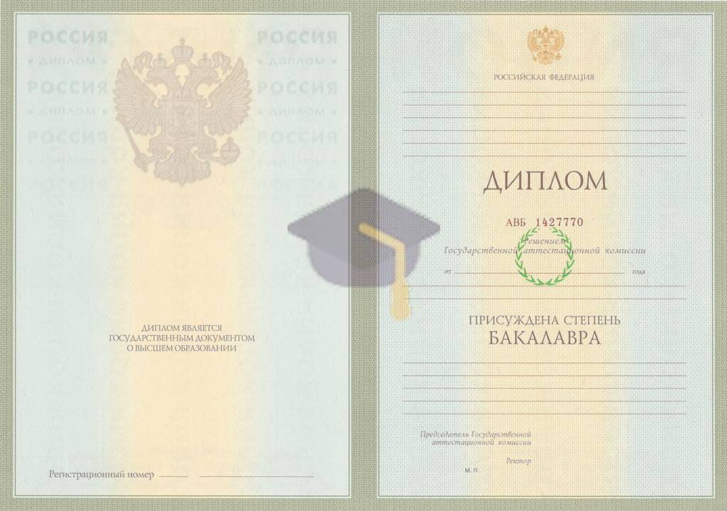 Диплом бакалавра с 2004 по 2008 годы